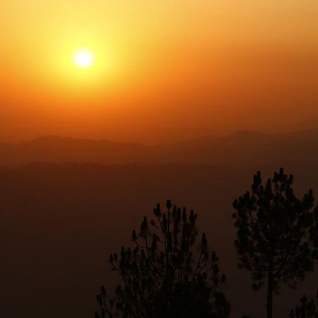 Ram Singh Mehra Guest House Almora Dış mekan fotoğraf