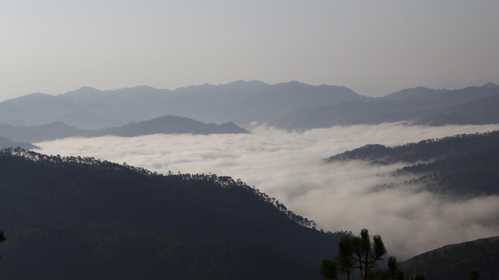 Ram Singh Mehra Guest House Almora Dış mekan fotoğraf